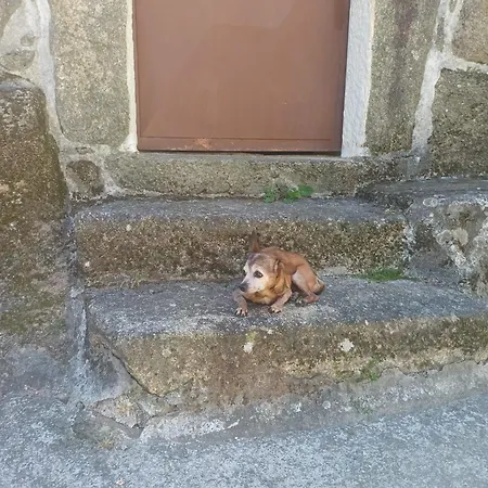 A Casinha Da Rita-soajo *